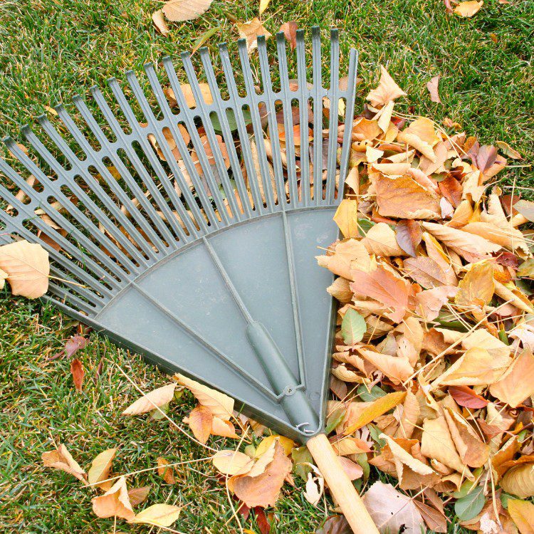 Landscape Maintenance in Stephenville, TX Landscape Maintenance in Stephenville, TX