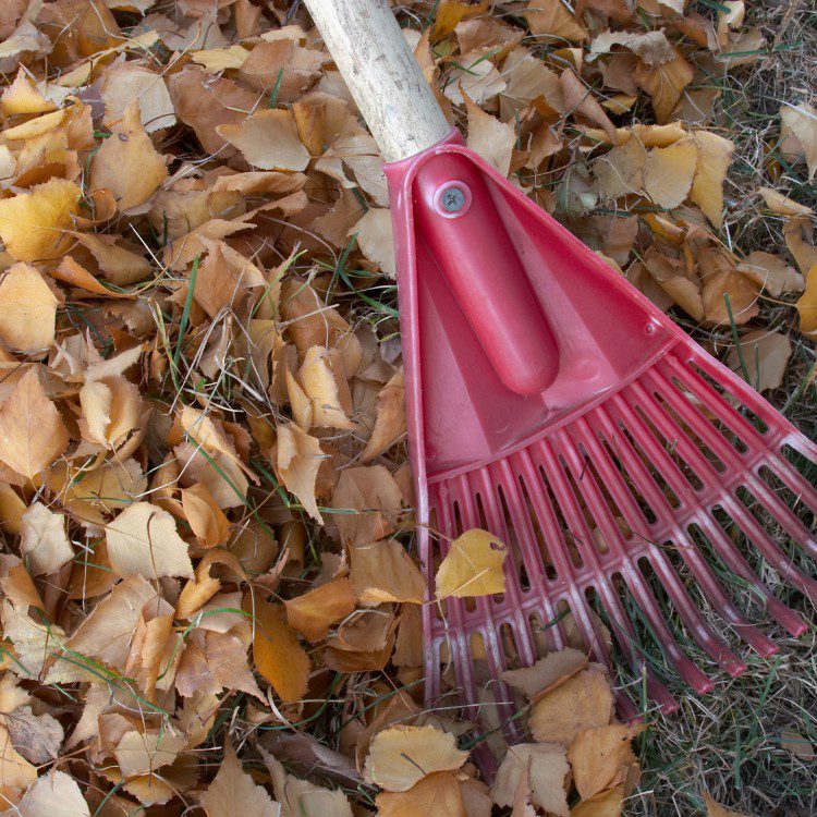 Landscape Maintenance in Stephenville, TX Landscape Maintenance in Stephenville, TX